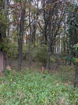 Land, WAUPACA, WI