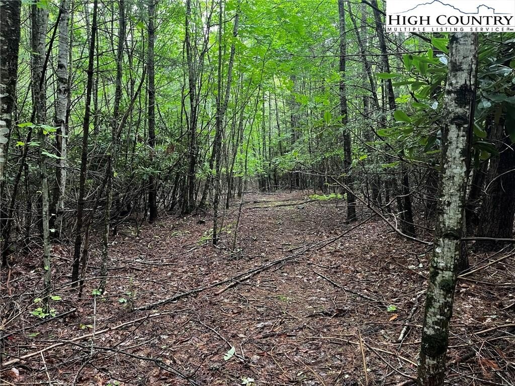 Picture 27