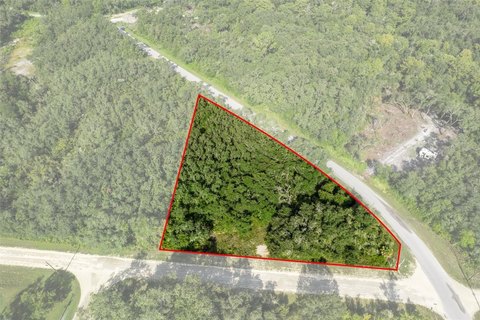 LAND - WEBSTER, FL