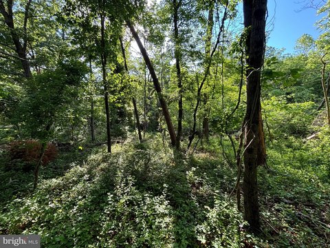 Land Near Shenandoah River