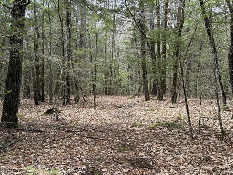 Land, Hollis, ME