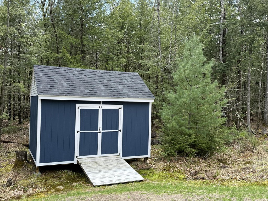 Picture 15
