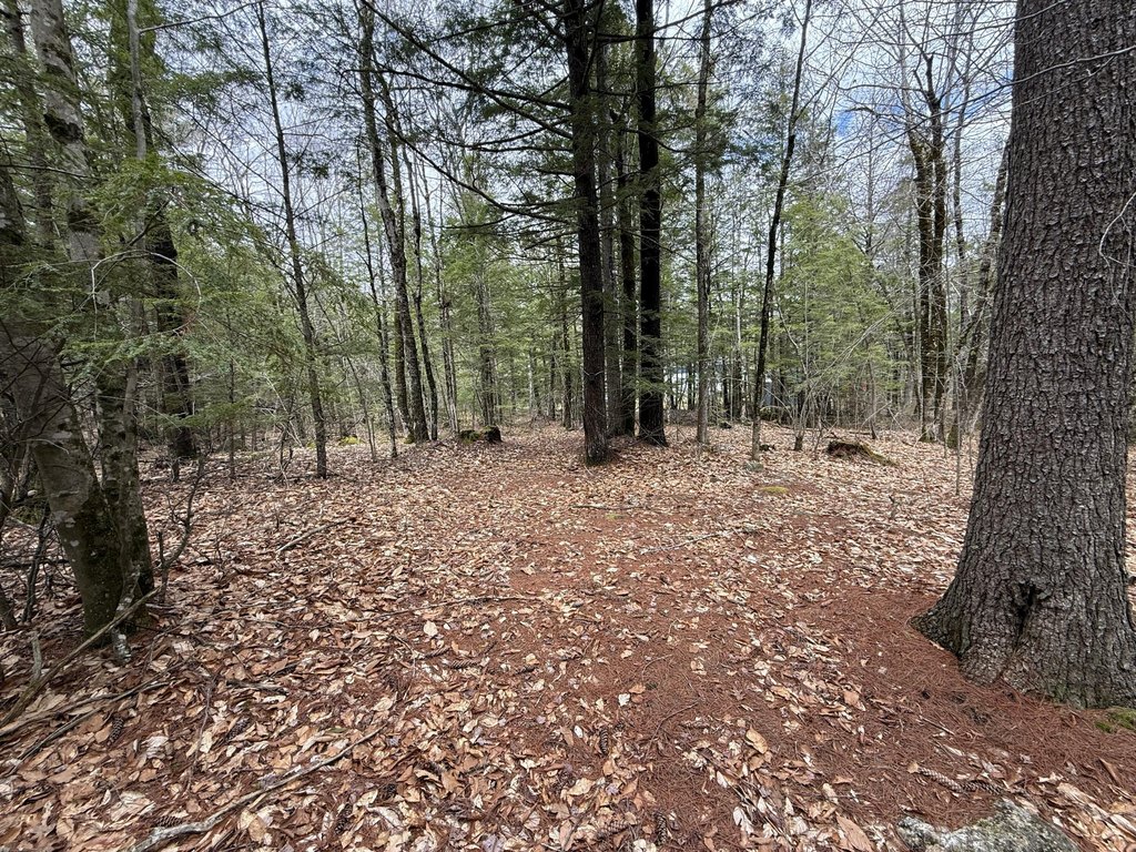 Picture 9