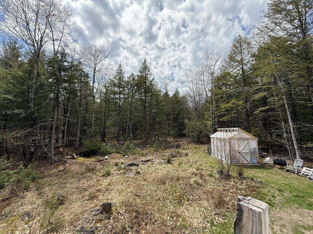 Picture 24