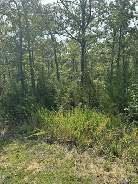 Land, Branson West, MO