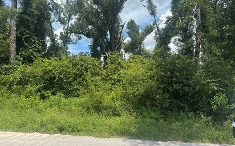 Vacant Land, Dowling Park, FL