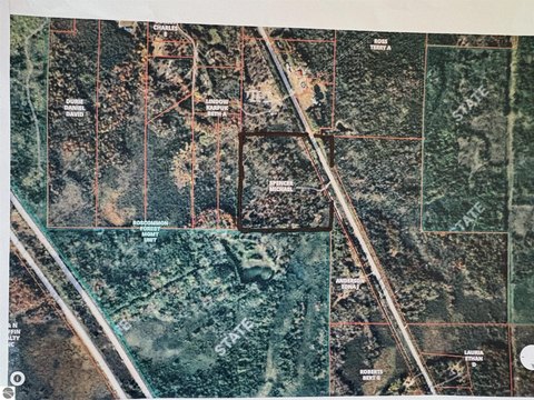 Wooded Recreation Land Tract