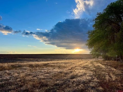 70 Acres of Land, Colorado