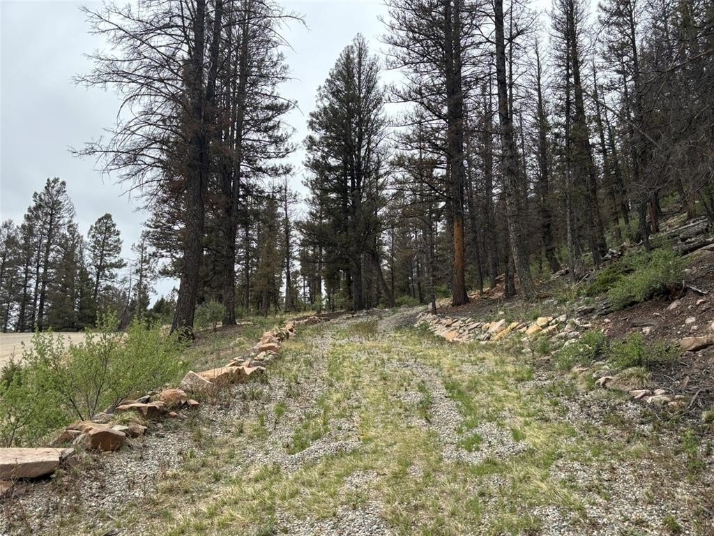 Private Lot in Redhill Forest