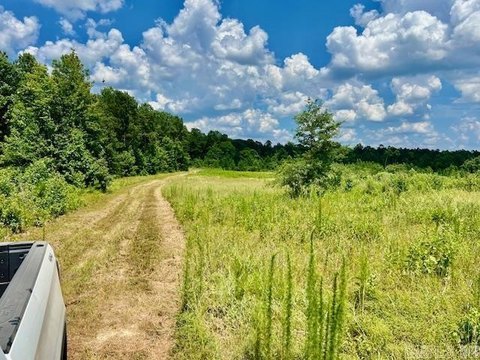 40 Acres in Murfreesboro, AR