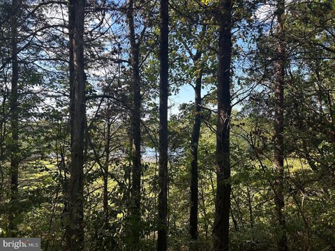 Land, ELKWOOD, VA