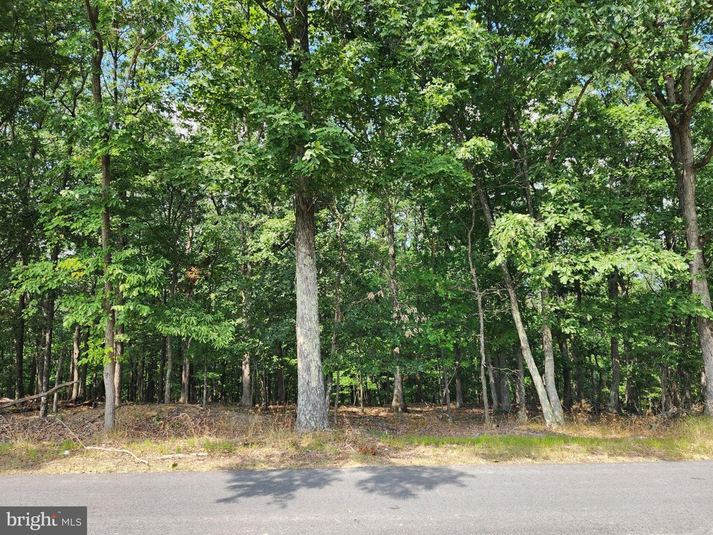 Picture 5