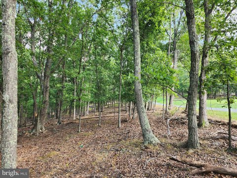 Land, BERKELEY SPRINGS, WV