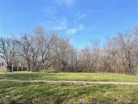 Detroit Land Opportunity Near Downtown