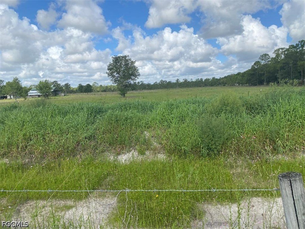 Picture 2