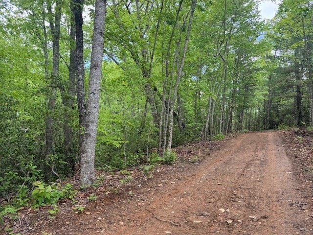 Picture 21