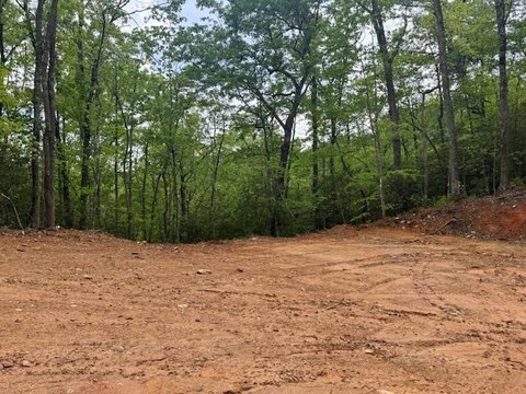Residential Land in Marble, NC
