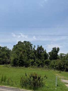 LAND - Colquitt, GA