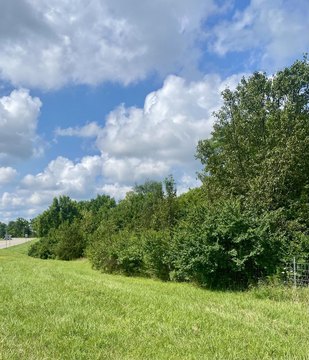Commercial Lot in Growing Area