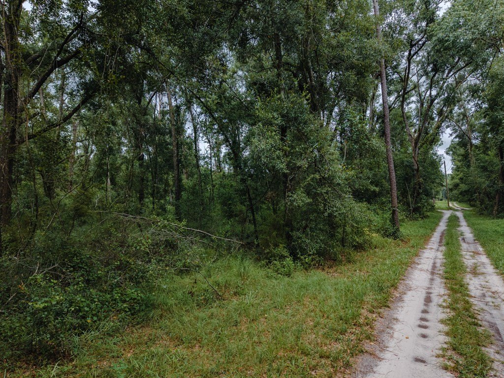 Picture 8