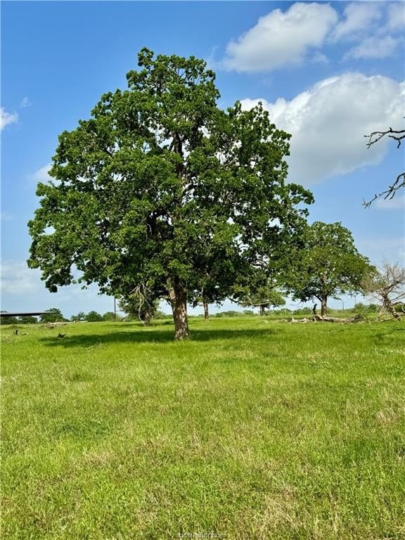 Picture 42