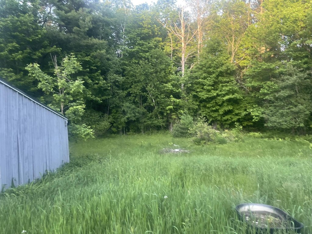 Picture 48