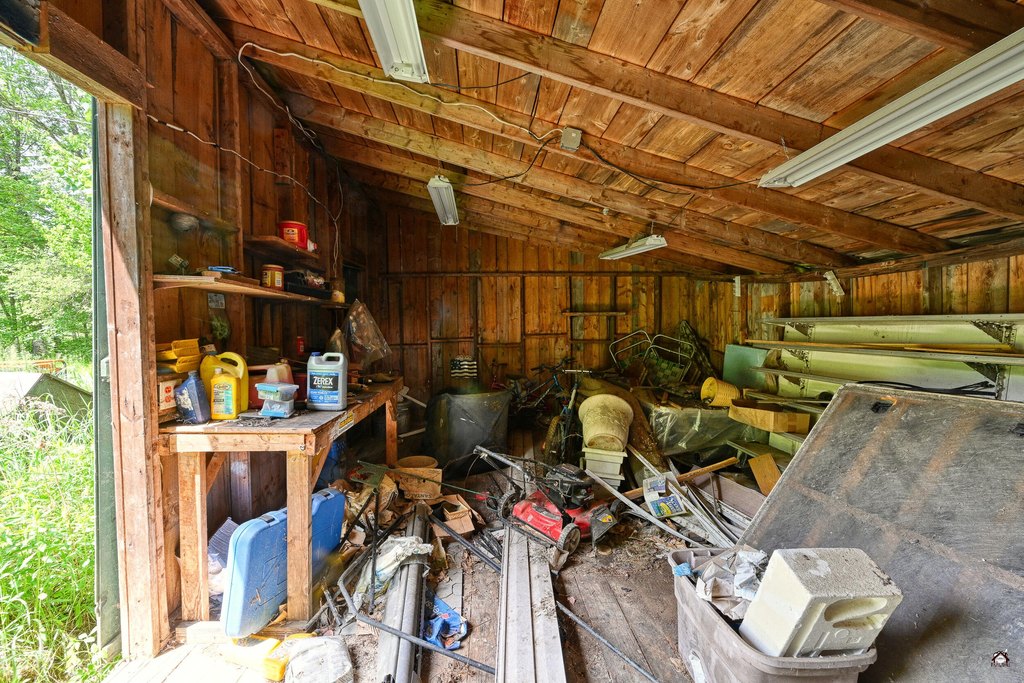 Picture 21