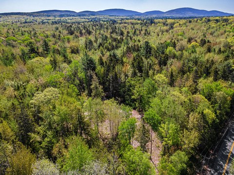 Wooded Land Near Bar Harbor