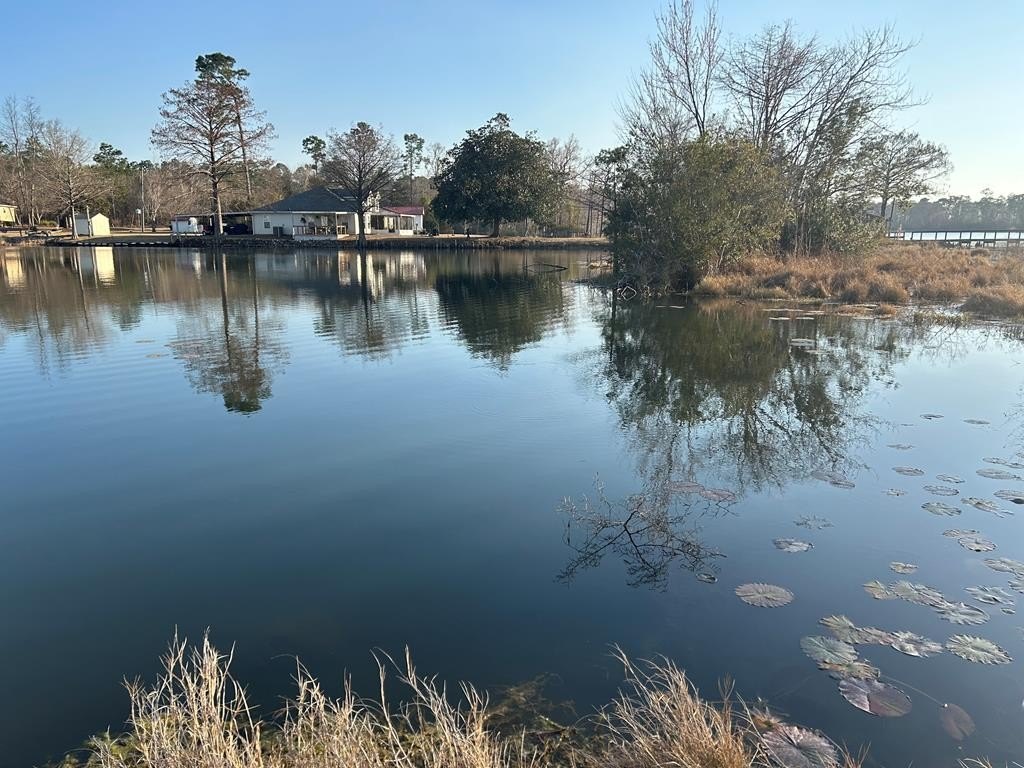 Lake Seminole Waterfront Land