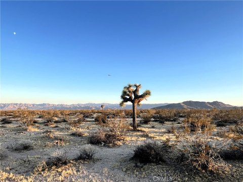 Land, Joshua Tree, CA
