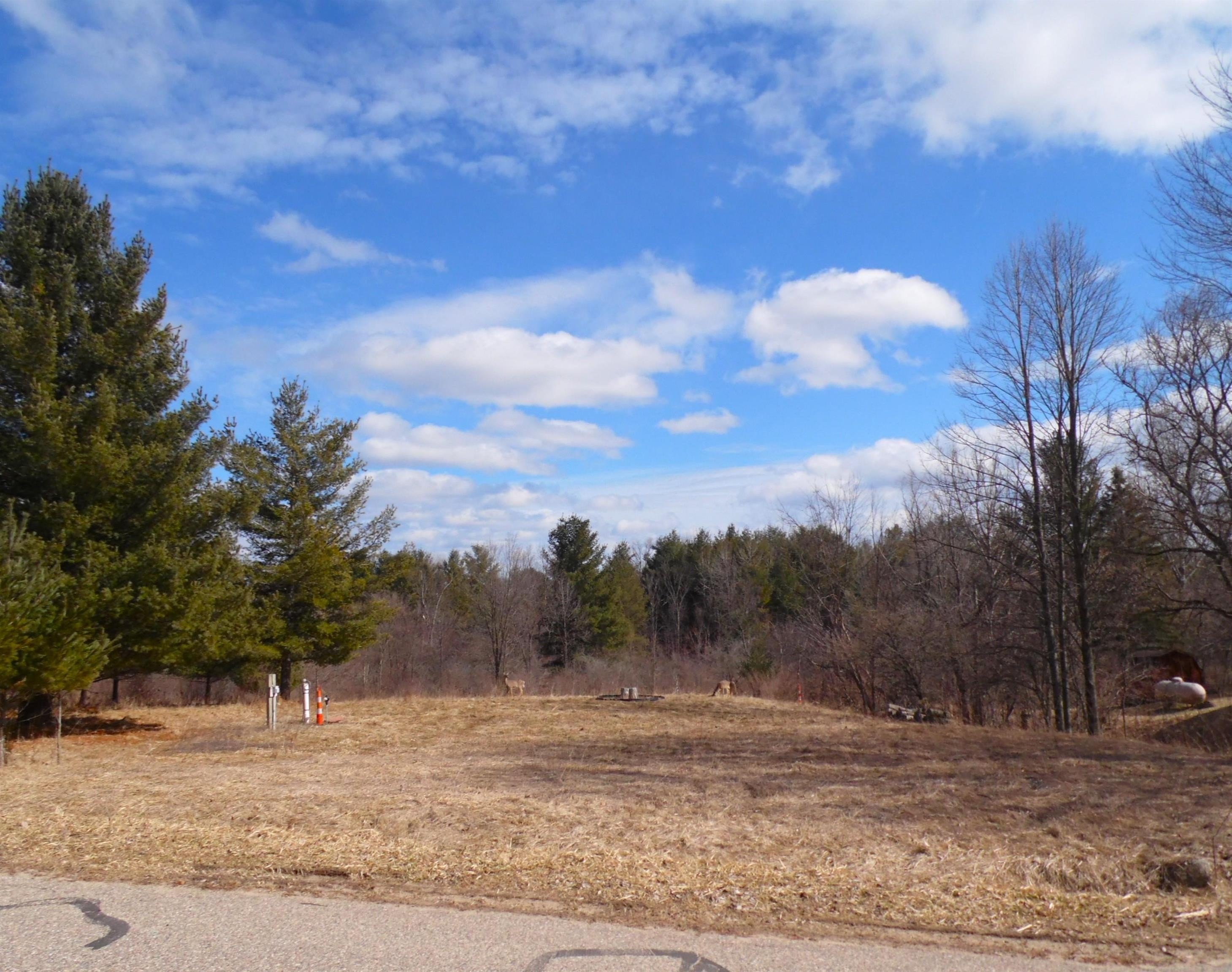 Land in Sugar Springs POA