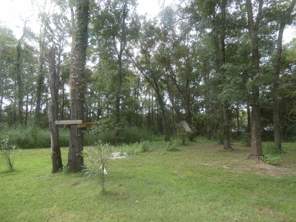 Picture 11