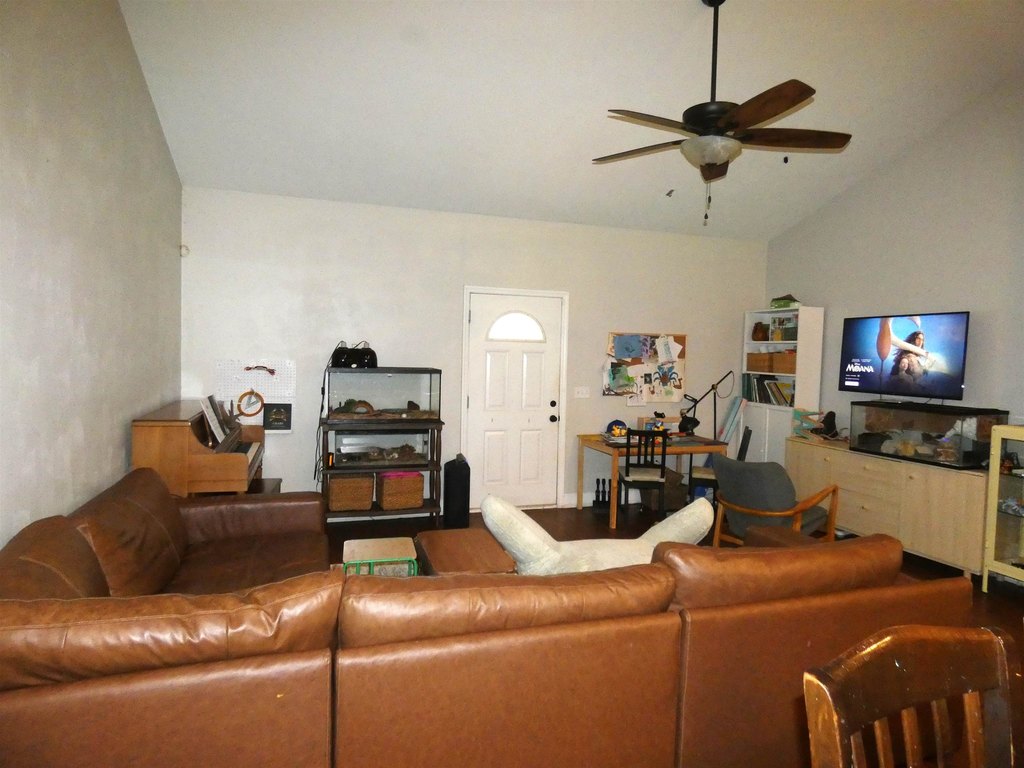 Picture 3