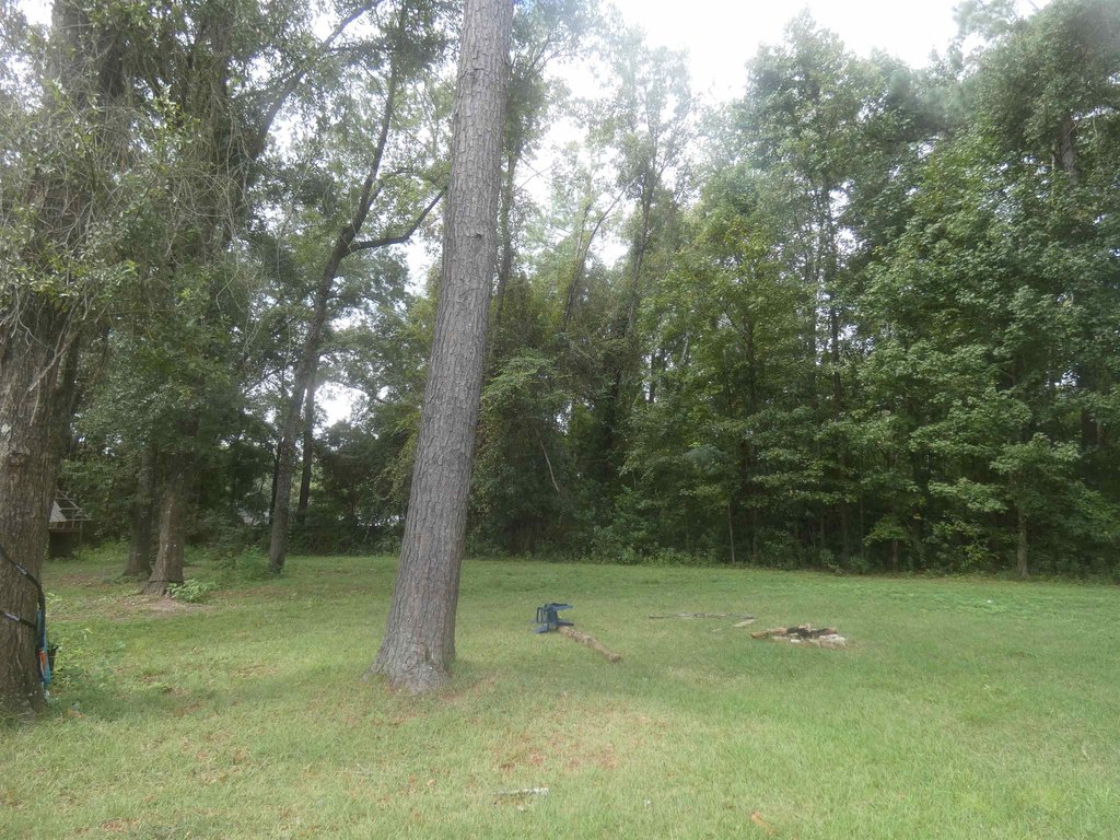 Picture 10