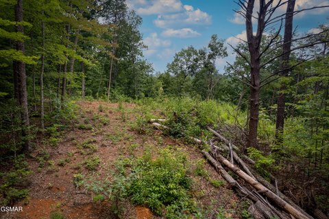 LAND - Sevierville, TN