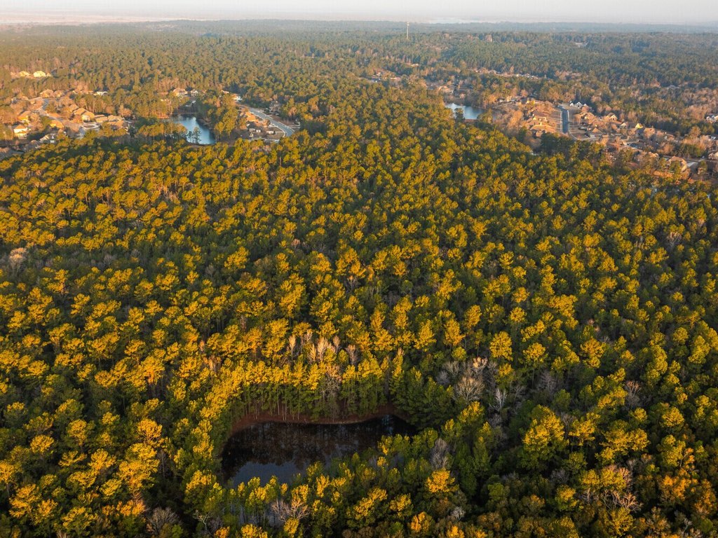 Picture 50