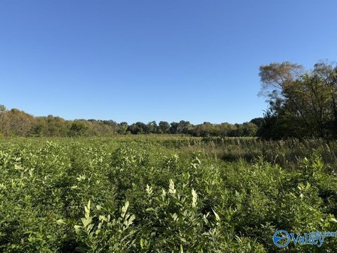 Land, Somerville, AL