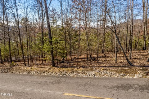 Wooded Lot in Gated Community