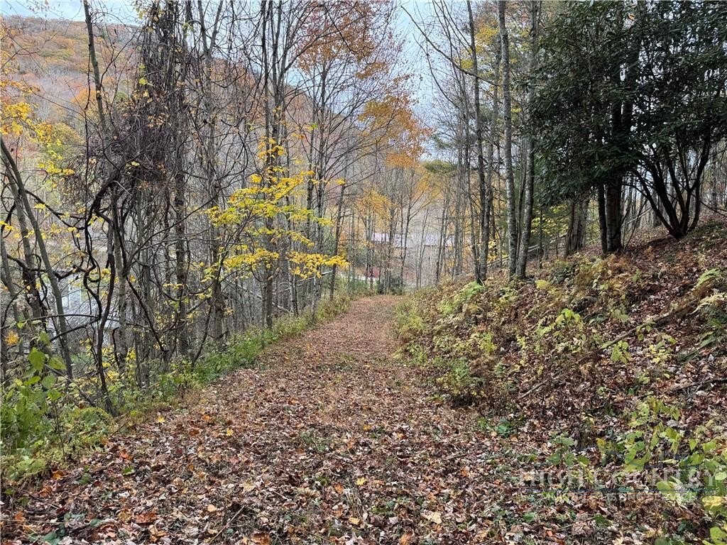 Picture 2