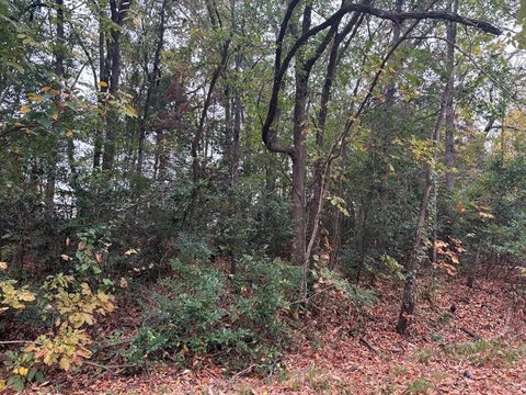 Lakeside Off-Water Land Lot