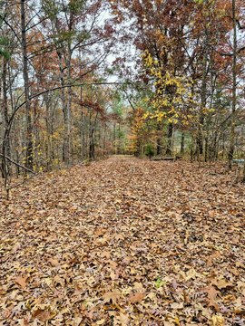 Land, Benton, KY