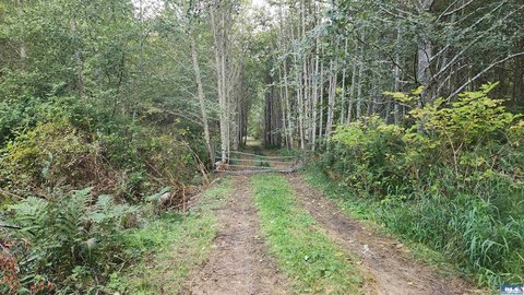 LOTS-LAND, Port Angeles, WA