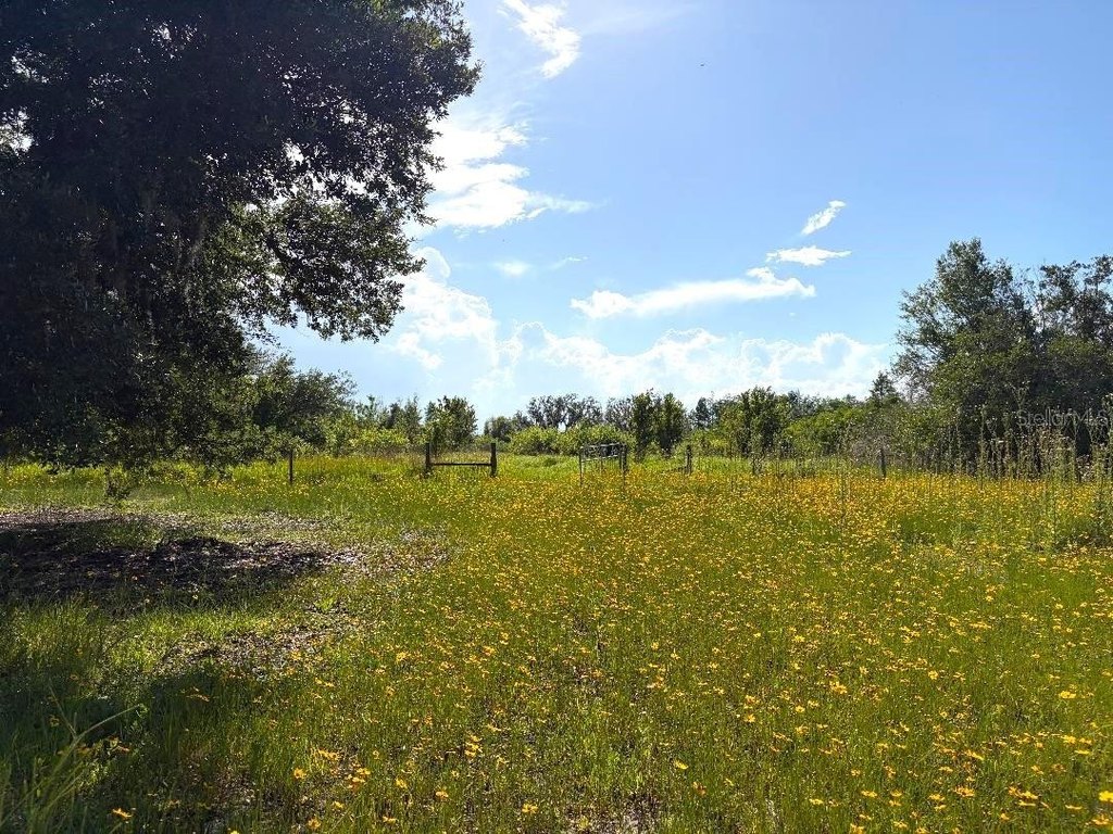 Picture 18