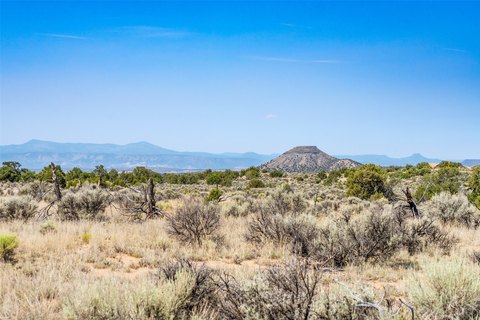Land Bordering Carson National Forest