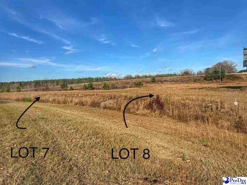 Land, Latta, SC