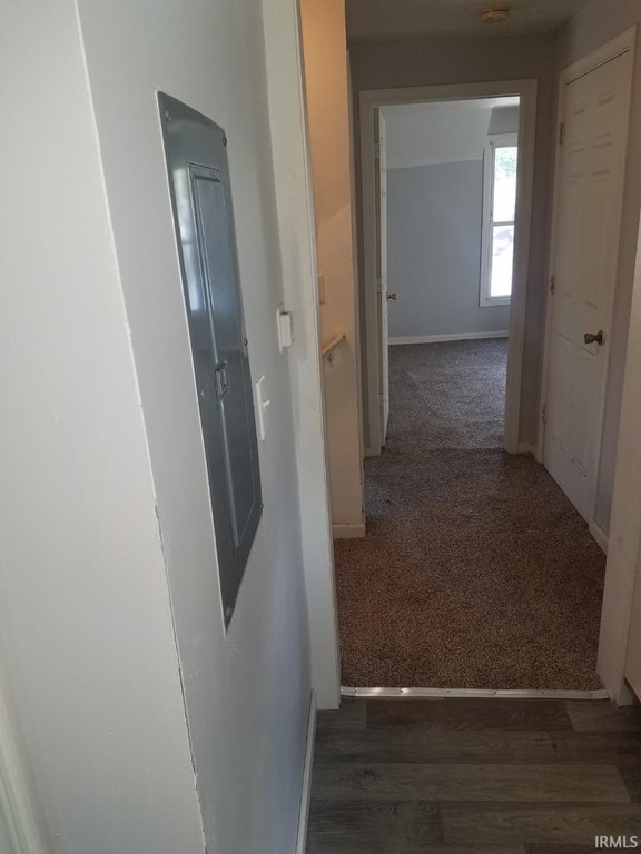 Picture 19