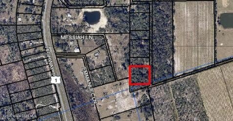 Wooded Land Parcel in Mims