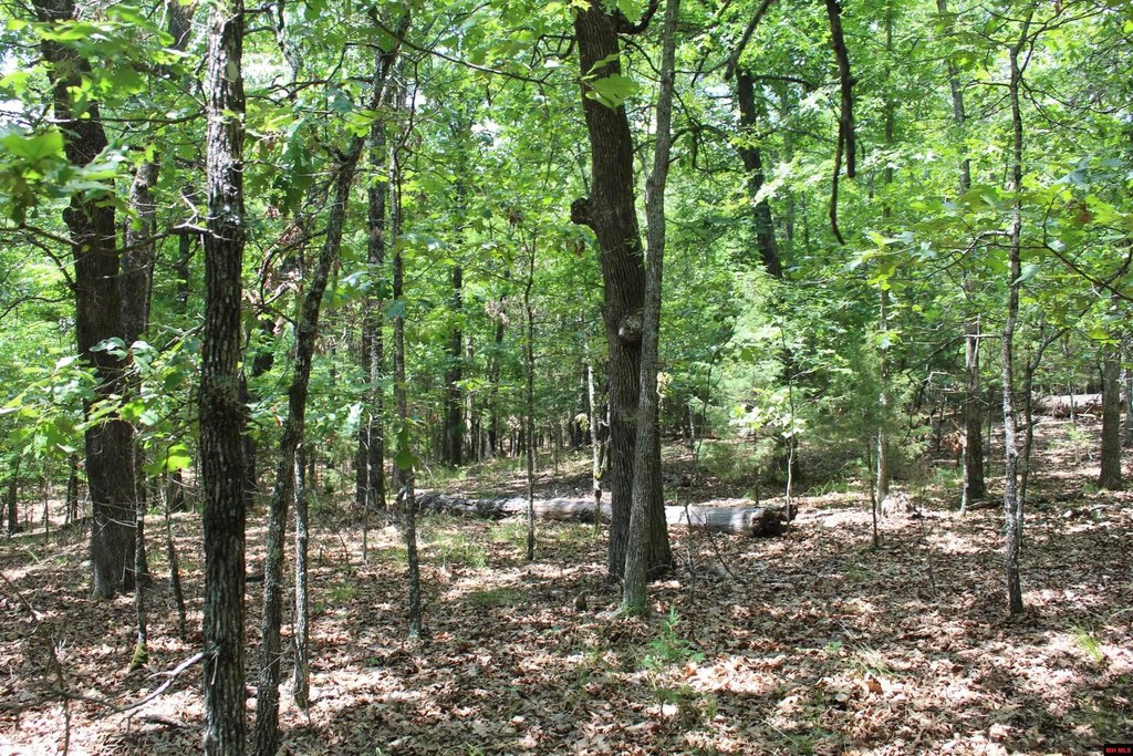Picture 7