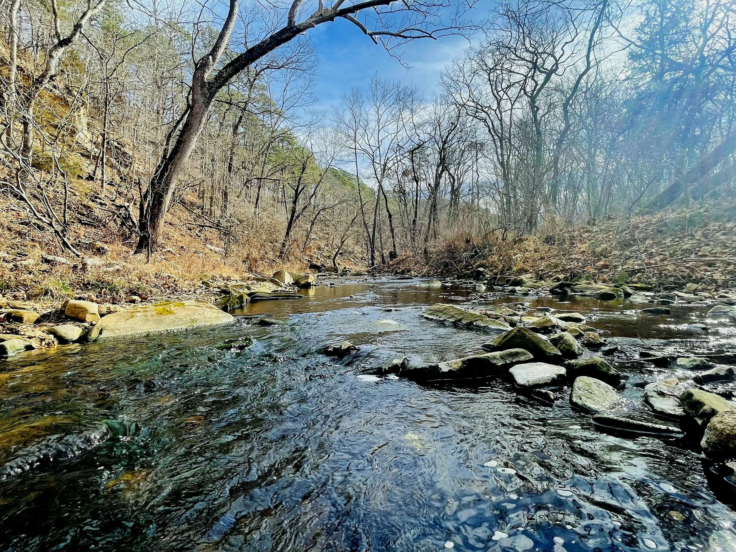 98 Acres Near Houston, MO