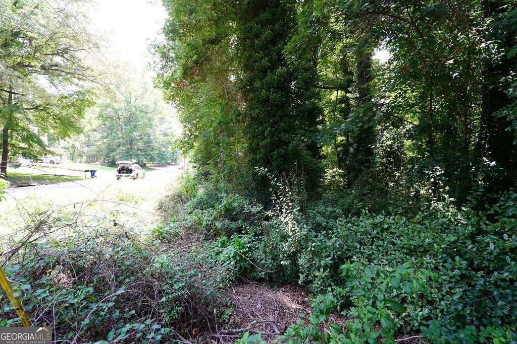 Picture 3